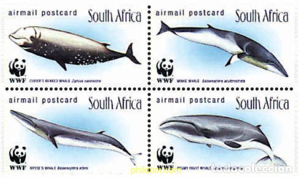 Sellos: 5268 MNH SUDAFRICA 1998 BALLENAS