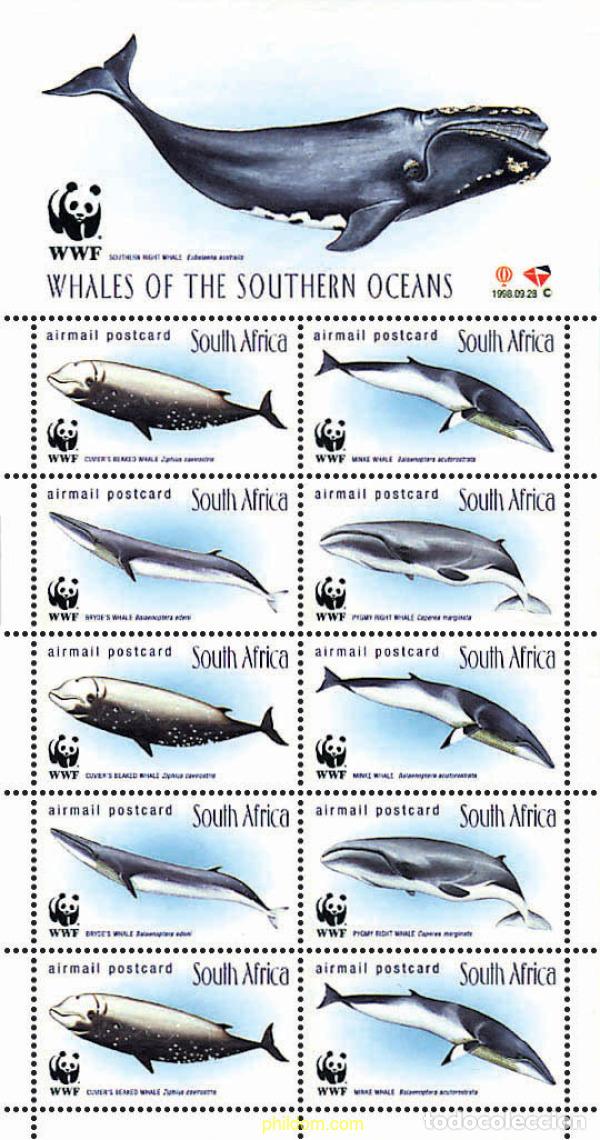 Sellos: 12683 MNH SUDAFRICA 1998 BALLENAS
