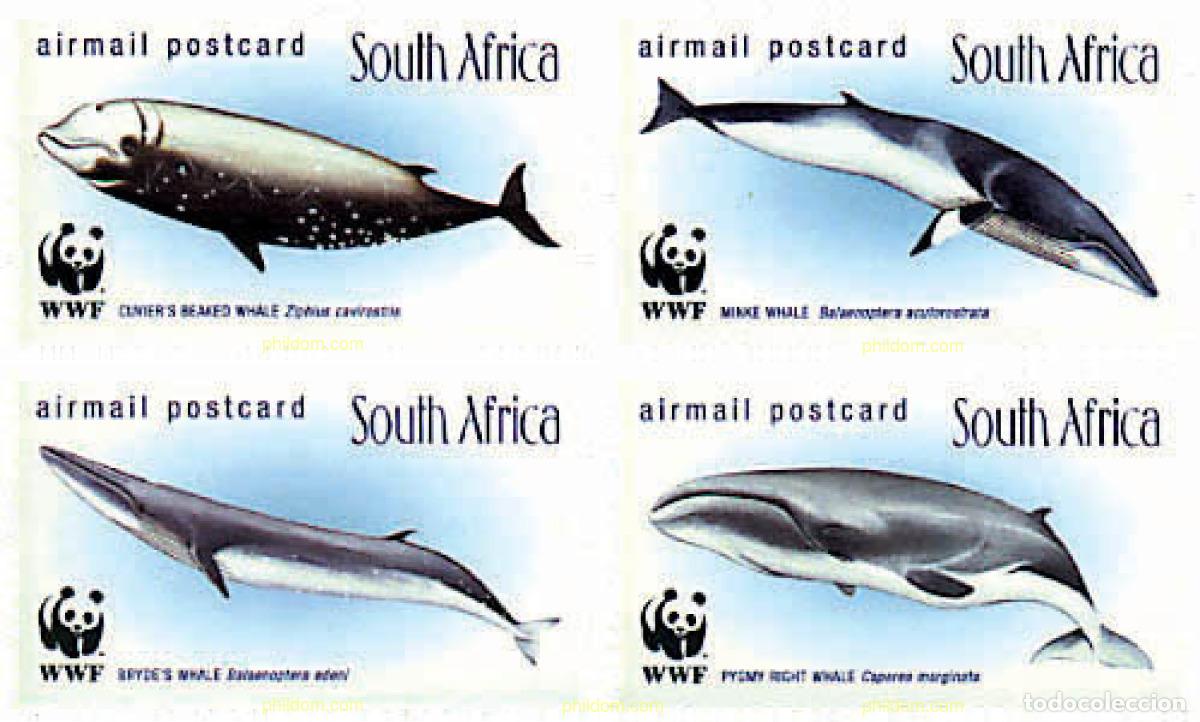 Sellos: 78735 MNH SUDAFRICA 1998 BALLENAS