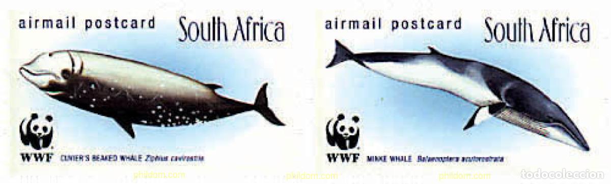 Sellos: 275229 MNH SUDAFRICA 1998 BALLENAS