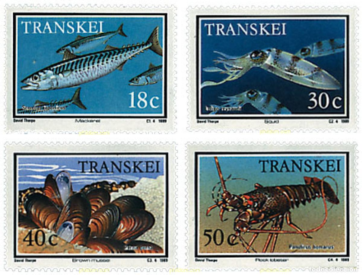 Sellos: 28522 MNH TRANSKEI 1989 FAUNA MARINA