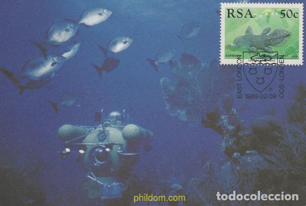 Francobolli: 651710 MNH SUDAFRICA 1989 50 ANIVERSARIO DE LA IDENTIFICACION DEL COELACANTE