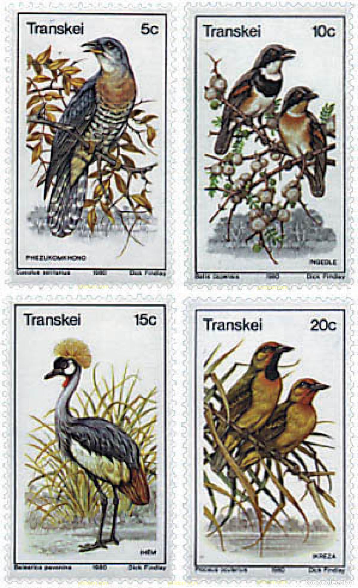 Sellos: 33716 MNH TRANSKEI 1980 AVES