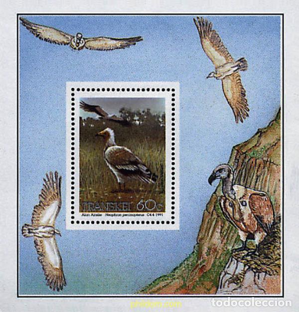 Sellos: 33717 MNH TRANSKEI 1991 AVES PROTEGIDAS