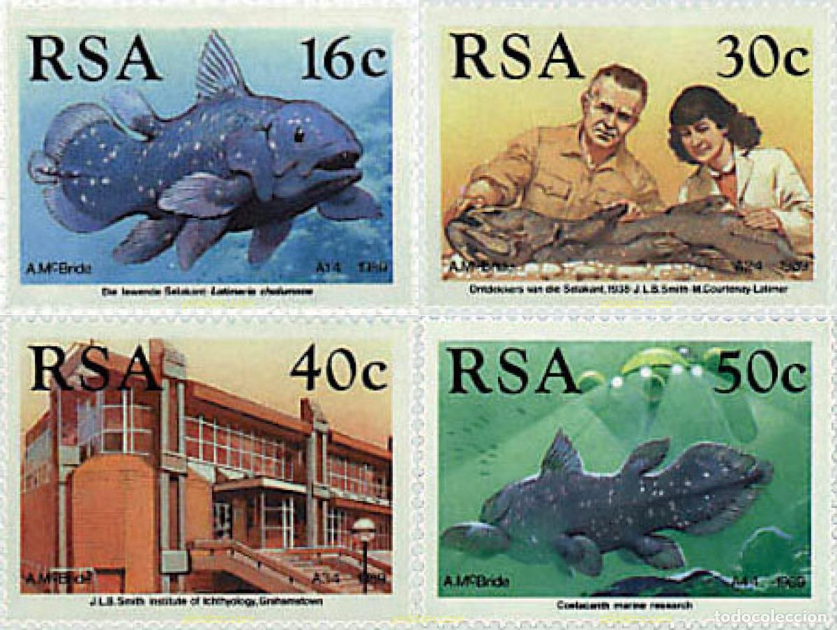 Sellos: 56463 MNH SUDAFRICA 1989 50 ANIVERSARIO DE LA IDENTIFICACION DEL COELACANTE