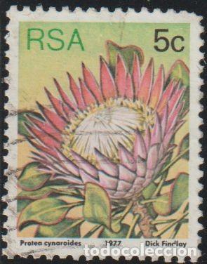 Sellos: Sudafrica 1977 Scott 479 Sello &ordm; Flora Plantas Protea rey (Protea cynaroides) Michel 516A Yvert 420