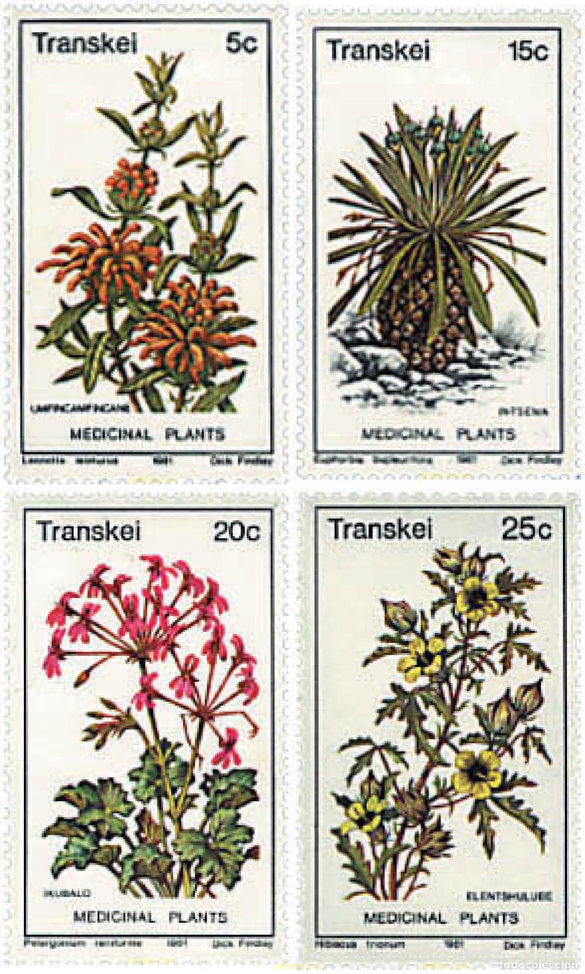 Sellos: 92293 MNH TRANSKEI 1981 PLANTAS MEDICINALES