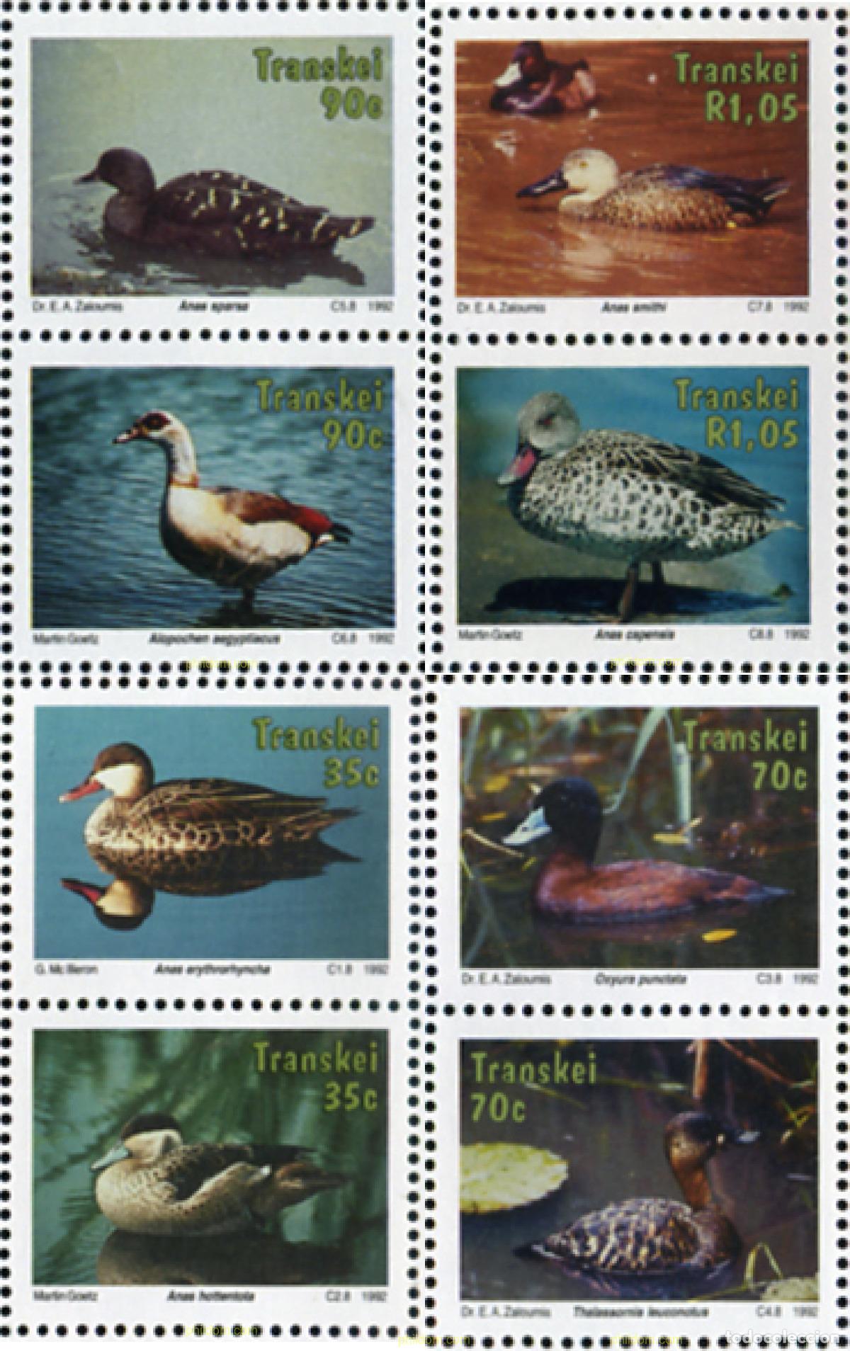 Sellos: 365931 MNH TRANSKEI 1992 AVES ACUATICAS
