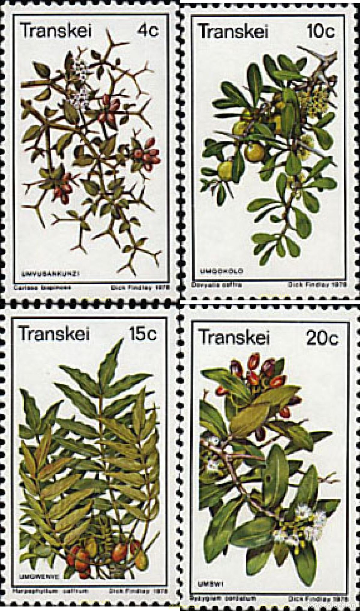 Sellos: 46997 MNH TRANSKEI 1978 PLANTAS