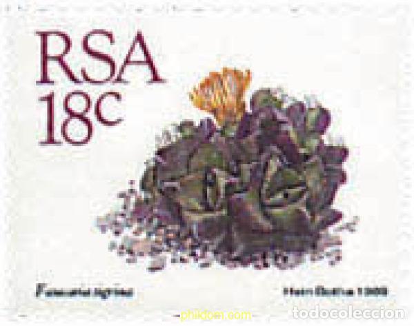 Sellos: 78703 MNH SUDAFRICA 1989 PLANTAS CRASAS