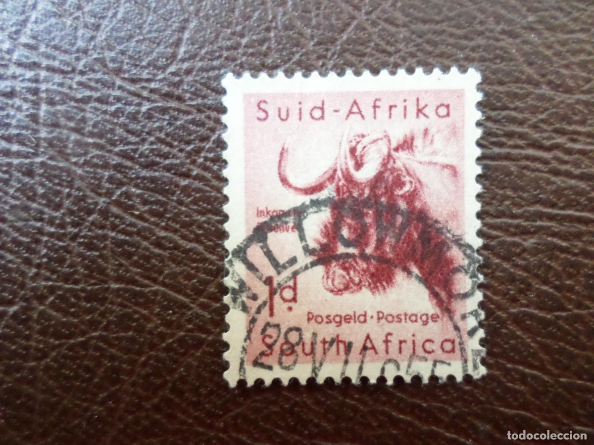 Sellos: -africa del sur, 1954, &ntilde;u, Yvert 202
