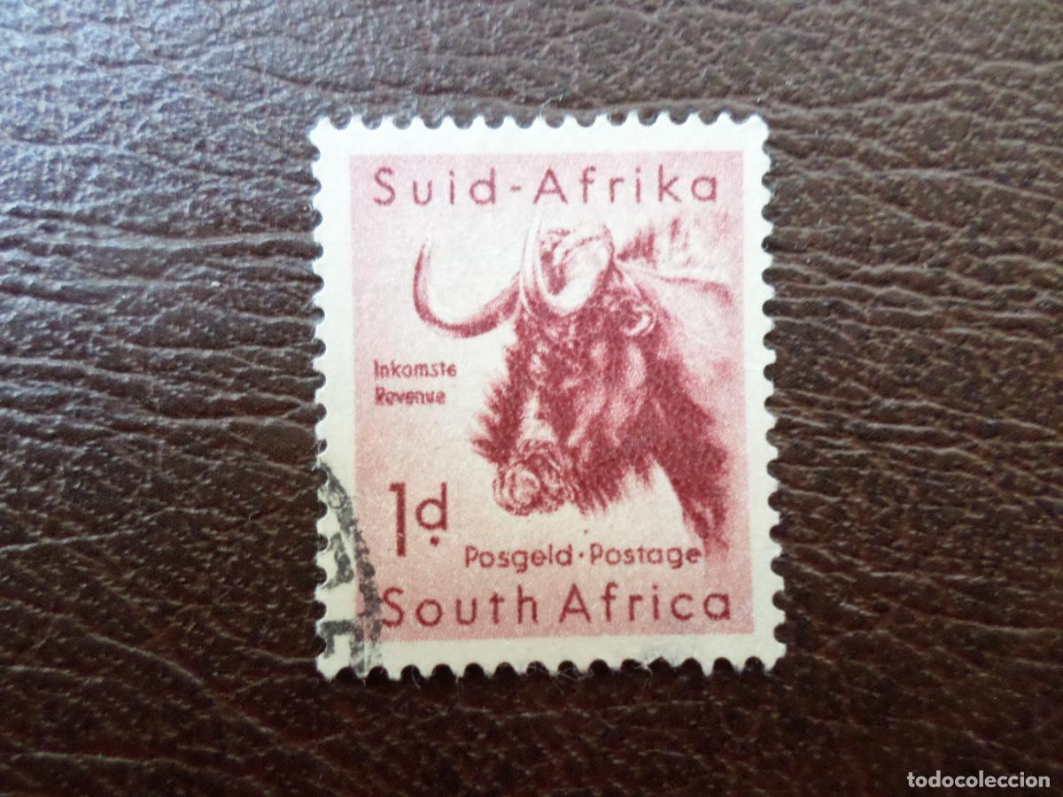Sellos: -africa del sur, 1954, &ntilde;u, Yvert 202