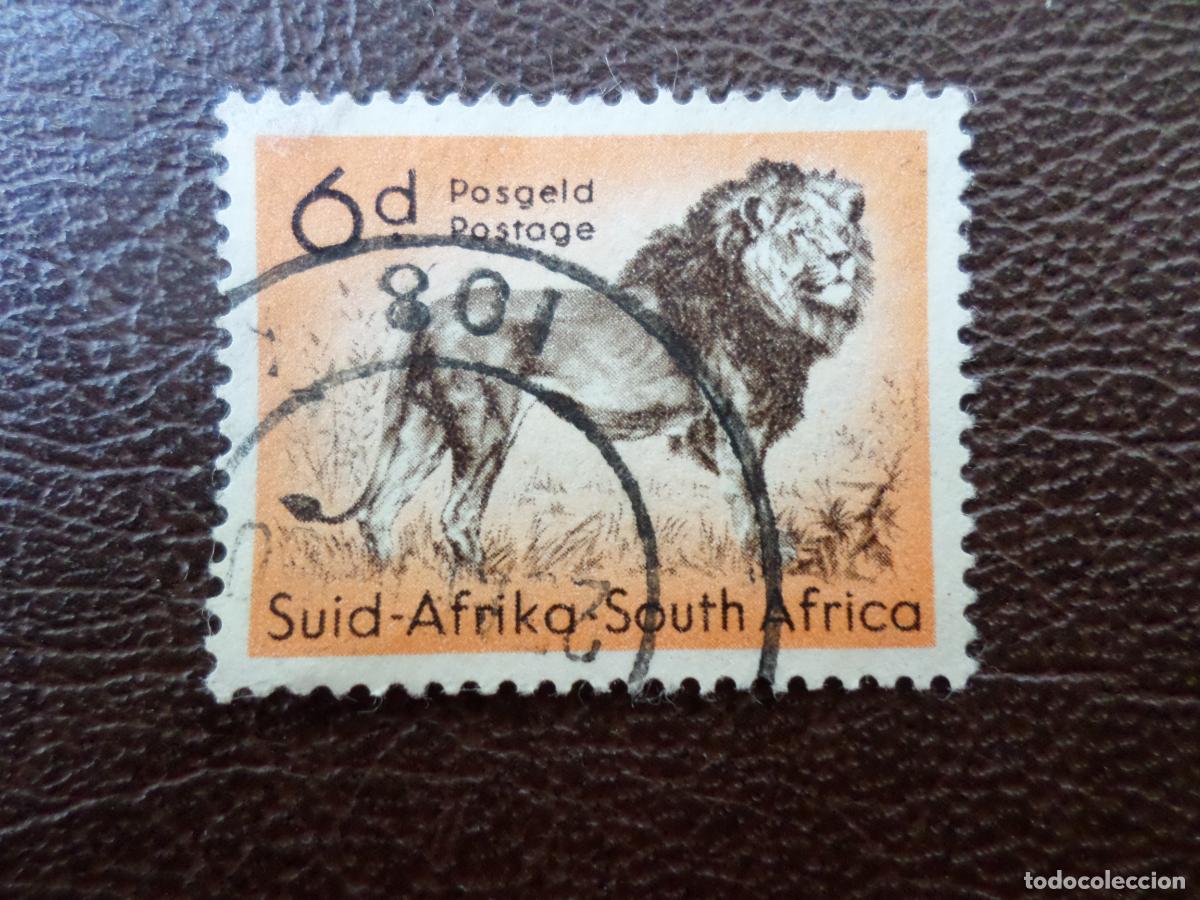 Sellos: -africa del sur, 1954, leon, Yvert 208