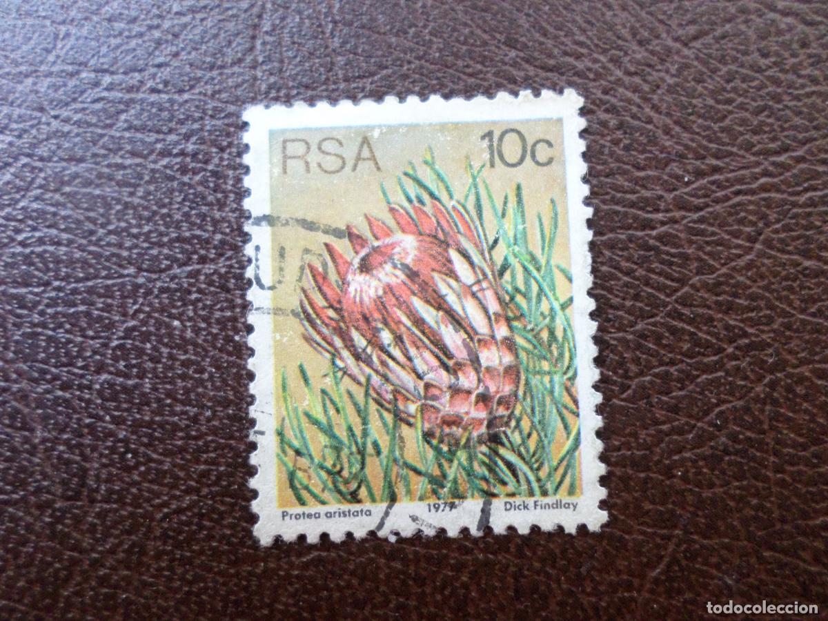 Sellos: -africa del sur, 1977, flores, Yvert 425