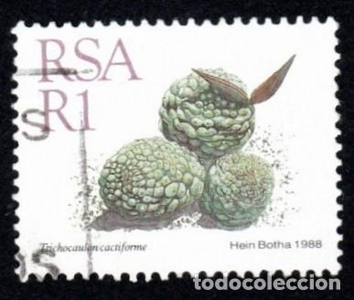 Sellos: R. Sud&aacute;frica. Trichocaulon cactiforme. 1968. YT-673. Usado