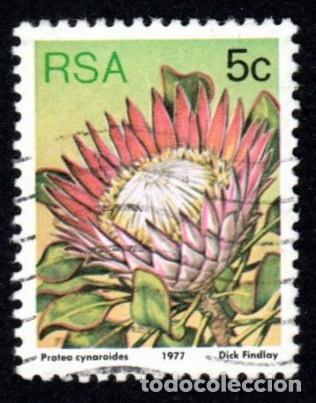 Sellos: R. Sud&aacute;frica. Protea cynaroides. 1967. YT-420. Usado