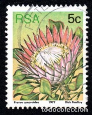 Sellos: R. Sud&aacute;frica. Protea cynaroides. 1967. YT-420. Usado .