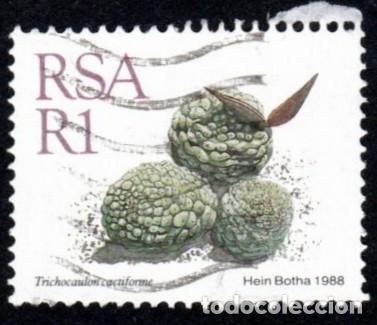 Sellos: R. Sud&aacute;frica. Trichocaulon cactiforme. 1968. YT-673. Usado