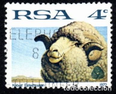 Sellos: R. Sud&aacute;frica. Oveja Merino. 1972. YT-335. Usado