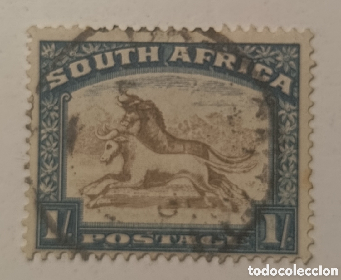 Sellos: SOUTH AFRICA sello caballos 1952