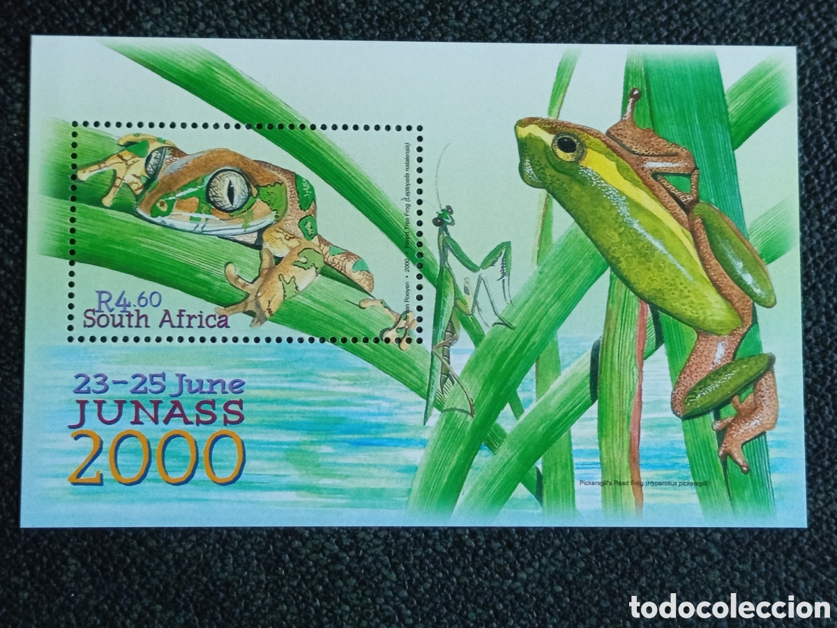 Sellos: Hojita Bloque Sud&aacute;frica 2000 JUNASS Ranas MNH - SACC n&ordm; 1269 / Michel n&ordm; BL81