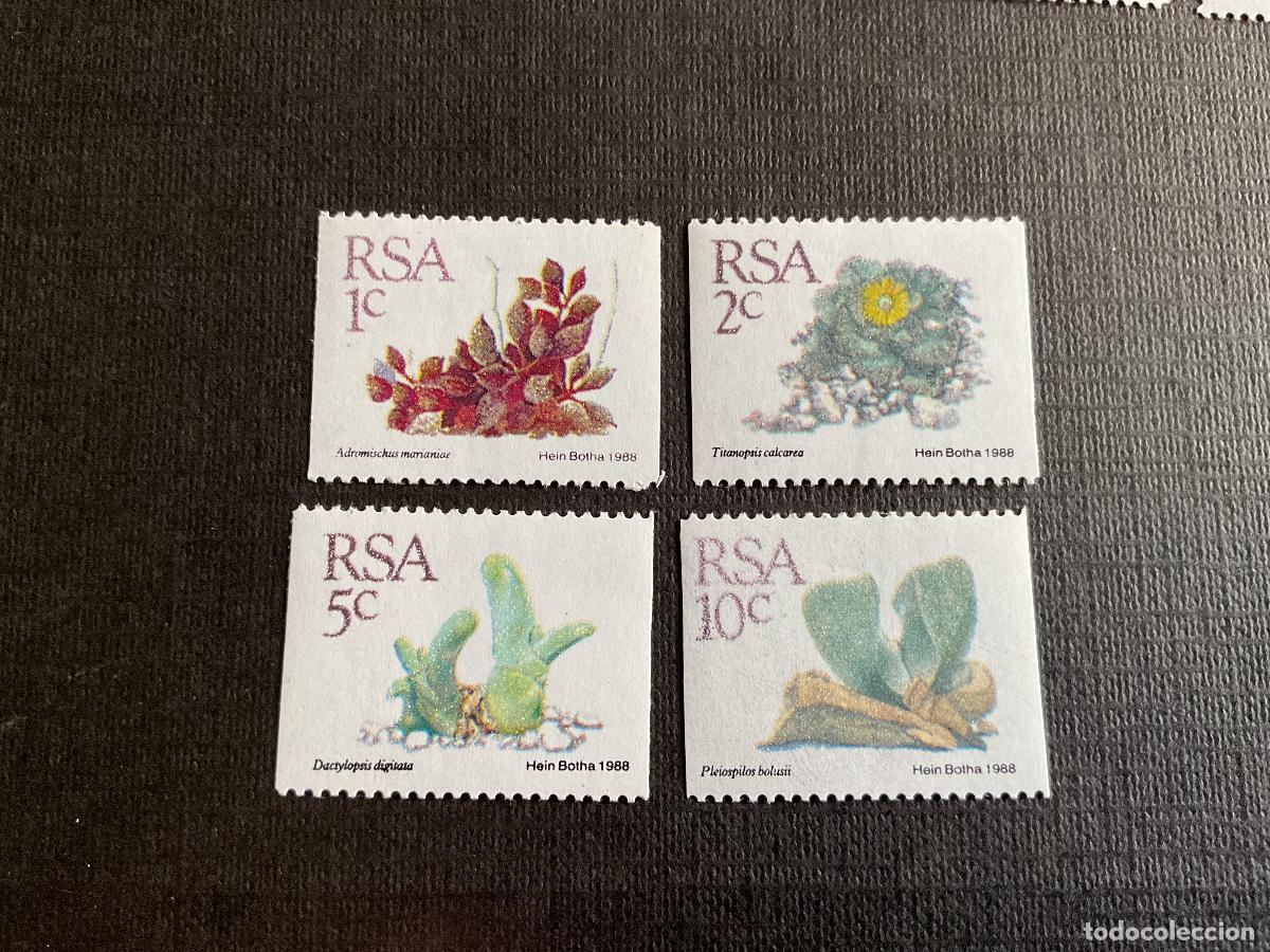 Sellos: SUDAFRICA N&ordm; YVERT 675/8*** A&Ntilde;O 1988. FLORA