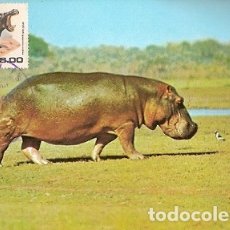 Sellos: MOZAMBIQUE & MAXI, ANIMALES ANIMALES PROTEGIDOS HIPOPÓTAMO, HIPOPÓTAMO, MAPUTO 1980 1991 (6)