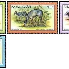 Sellos: SELLOS MALAWI NUEVOS, 1980, FAUNA 356-359. Lote 202249606