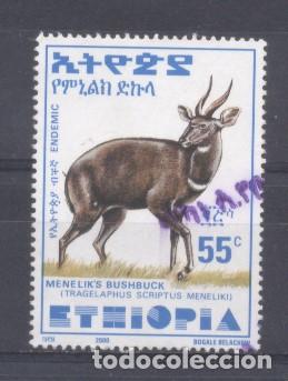 Sellos: Etiopia, 2002, usado - Foto 1
