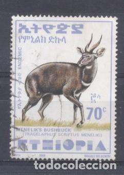 Sellos: Etiopia, 2002, usado - Foto 1