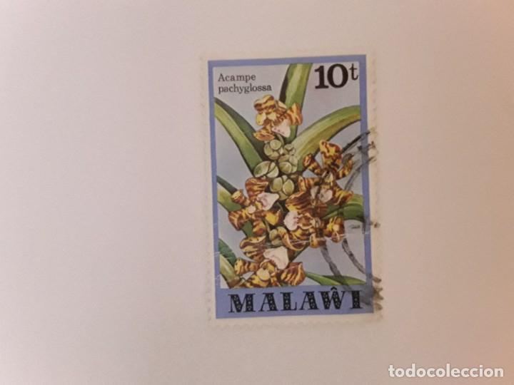 Sellos: MALAWI SELLO USADO - Foto 1