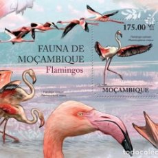 Francobolli: MOZAMBIQUE 2011 SHEET MNH FAUNA FLAMINGOS FLAMENCOS FINICOTTERI FLAMANTS ROSES AVES BIRDS VOGELS. Lote 327193968