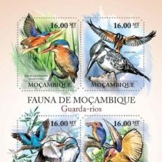 Francobolli: MOZAMBIQUE 2011 SHEET MNH FAUNA KINGFISHERS MARTINS-PECHEURS GUARDA RIOS BIRDS PAJAROS AVES OISEAUX. Lote 327203738