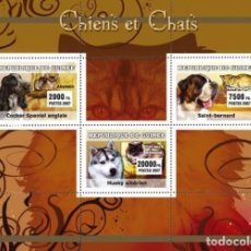 Sellos: GUINEA 2007 SHEET MNH PERROS CHIENS DOGS HUNDEN CANI GATOS CHATS CATS KATZEN GATTI. Lote 340315973