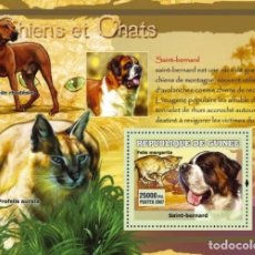 Sellos: GUINEA 2007 SHEET MNH PERROS CHIENS DOGS HUNDEN CANI GATOS CHATS CATS KATZEN GATTI. Lote 340316098