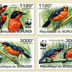 Sellos: BURUNDI 2011 4 STAMPS MNH WWF FAUNA GONOLEK DES PAPYRUS BIRDS AVES OISEAUX PAJAROS UCCELLI VOGELS. Lote 366601841