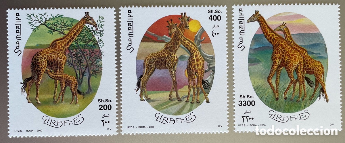 Sellos: Somalia. Jirafas. 2000 - Foto 1