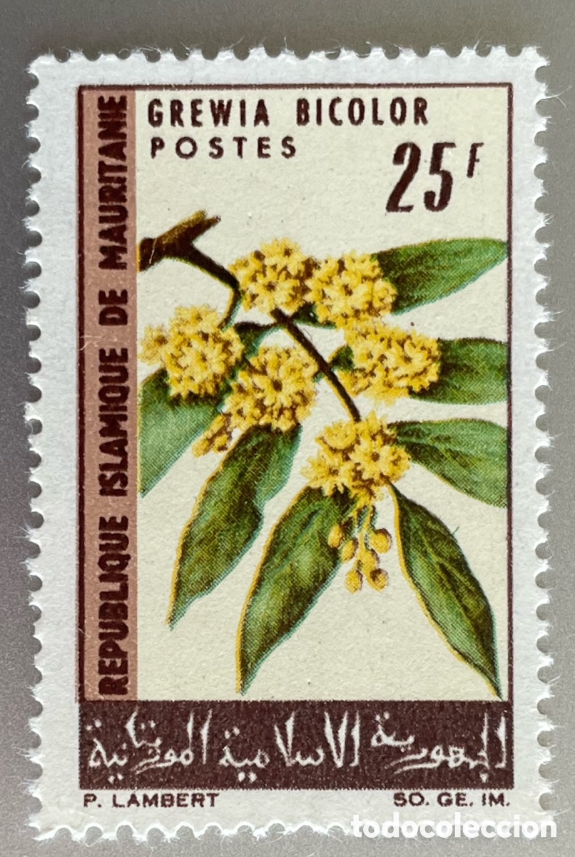 Sellos: Mauritania. Flores. 1966 - Foto 1
