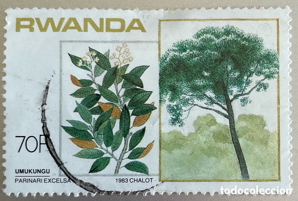 Sellos: Ruanda. &Aacute;rboles. 1984 - Foto 1