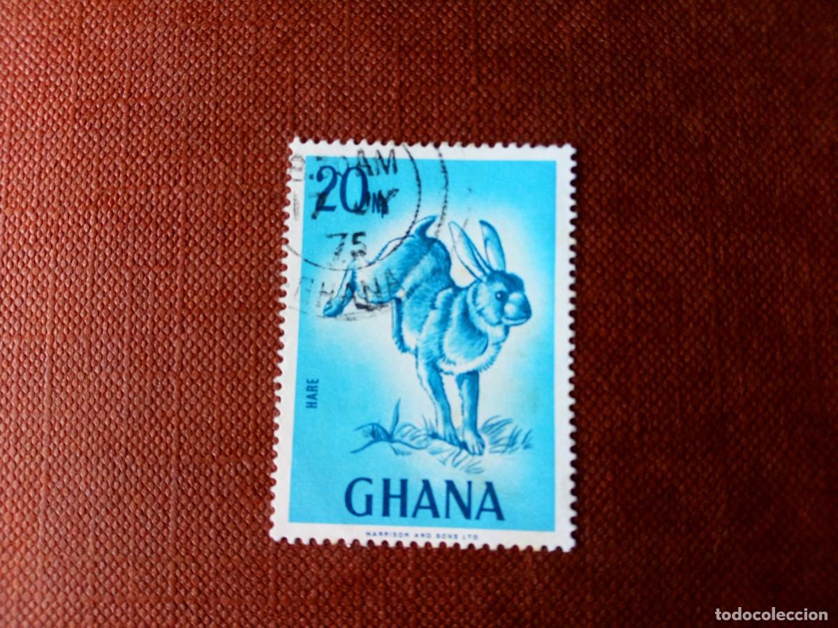 Sellos: GHANA, 1975, FAUNA, CONEJO
