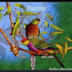 Sellos: MALAWI 2011 SHEET MNH IMPERF FAUNA BIRDS OISEAUX AVES PAJAROS PARROTS PERROQUETS LOROS PAPAGEIEN. Lote 402498094