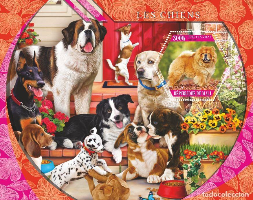 Sellos: MALI 2021 SHEET MNH DOGS CHIENS PERROS HUNDEN CANI CAES