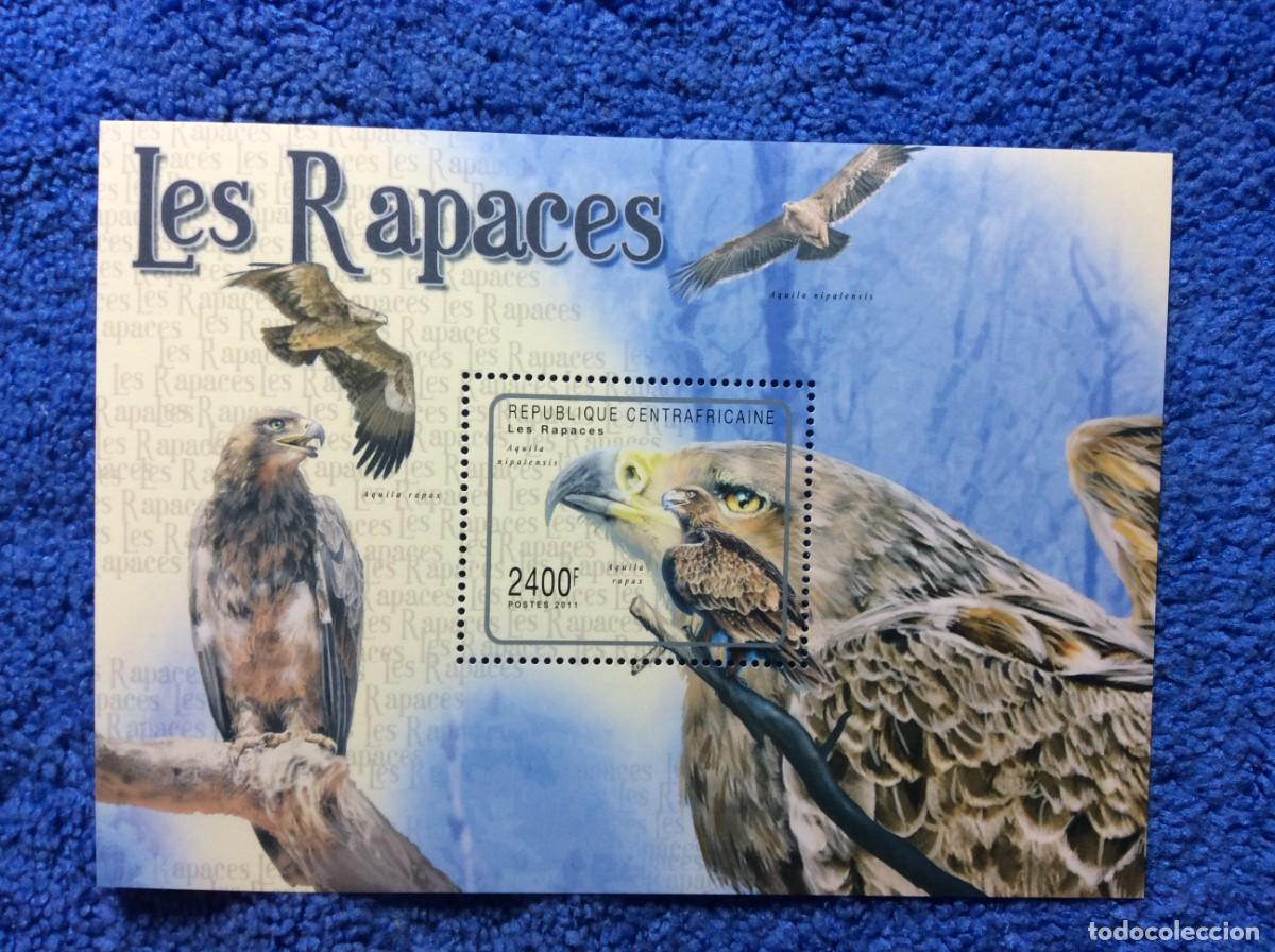 Sellos: AFRICA CENTRAL. 2011. AVES RAPACES (8TA04)