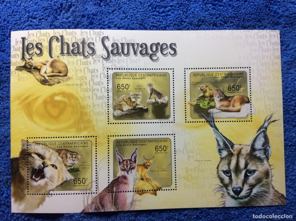 Sellos: AFRICA CENTRAL. 2011. GATOS SALVAJES (8TA04)