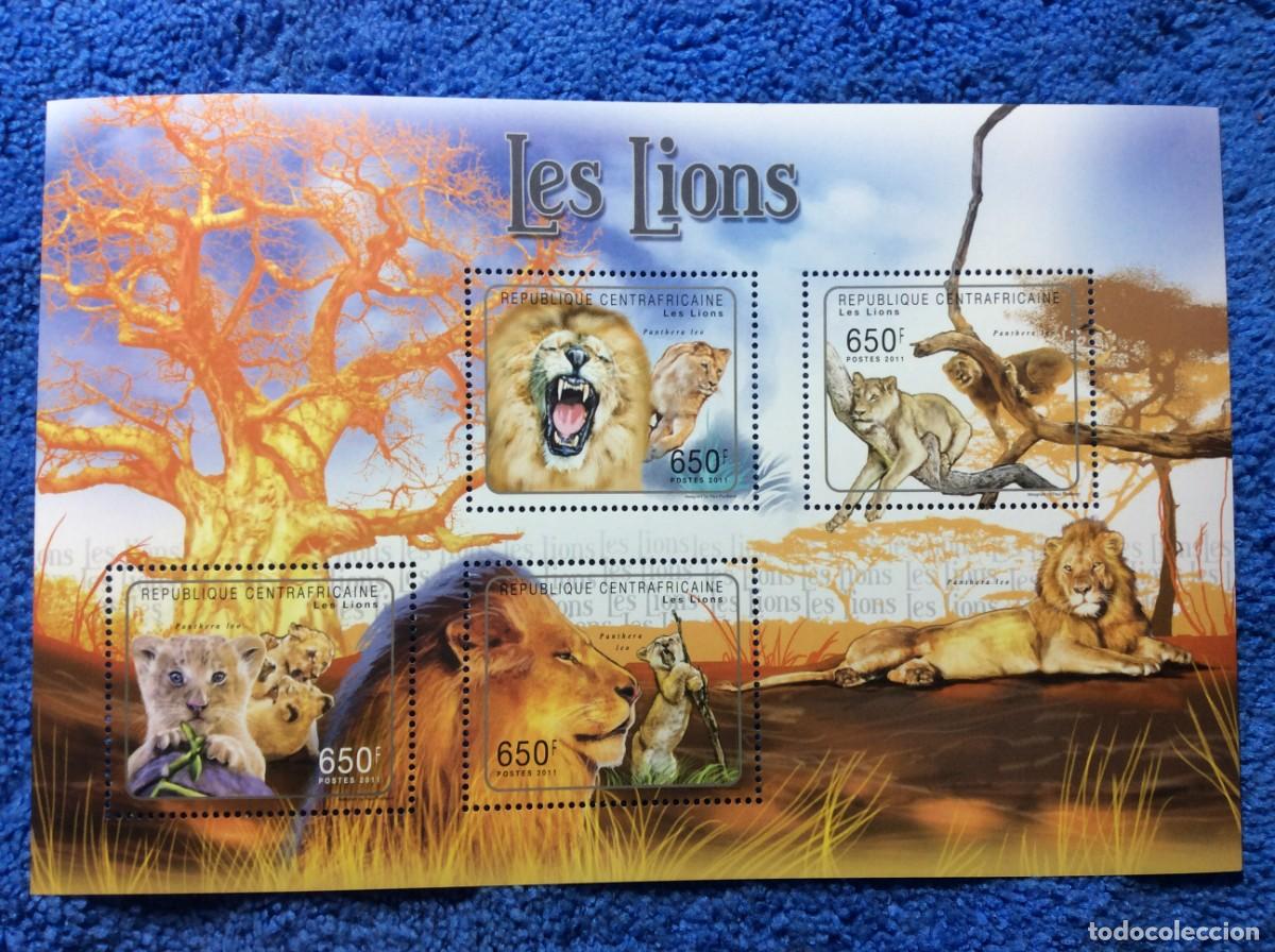 Sellos: AFRICA CENTRAL. 2011. LEONES (8TA04)