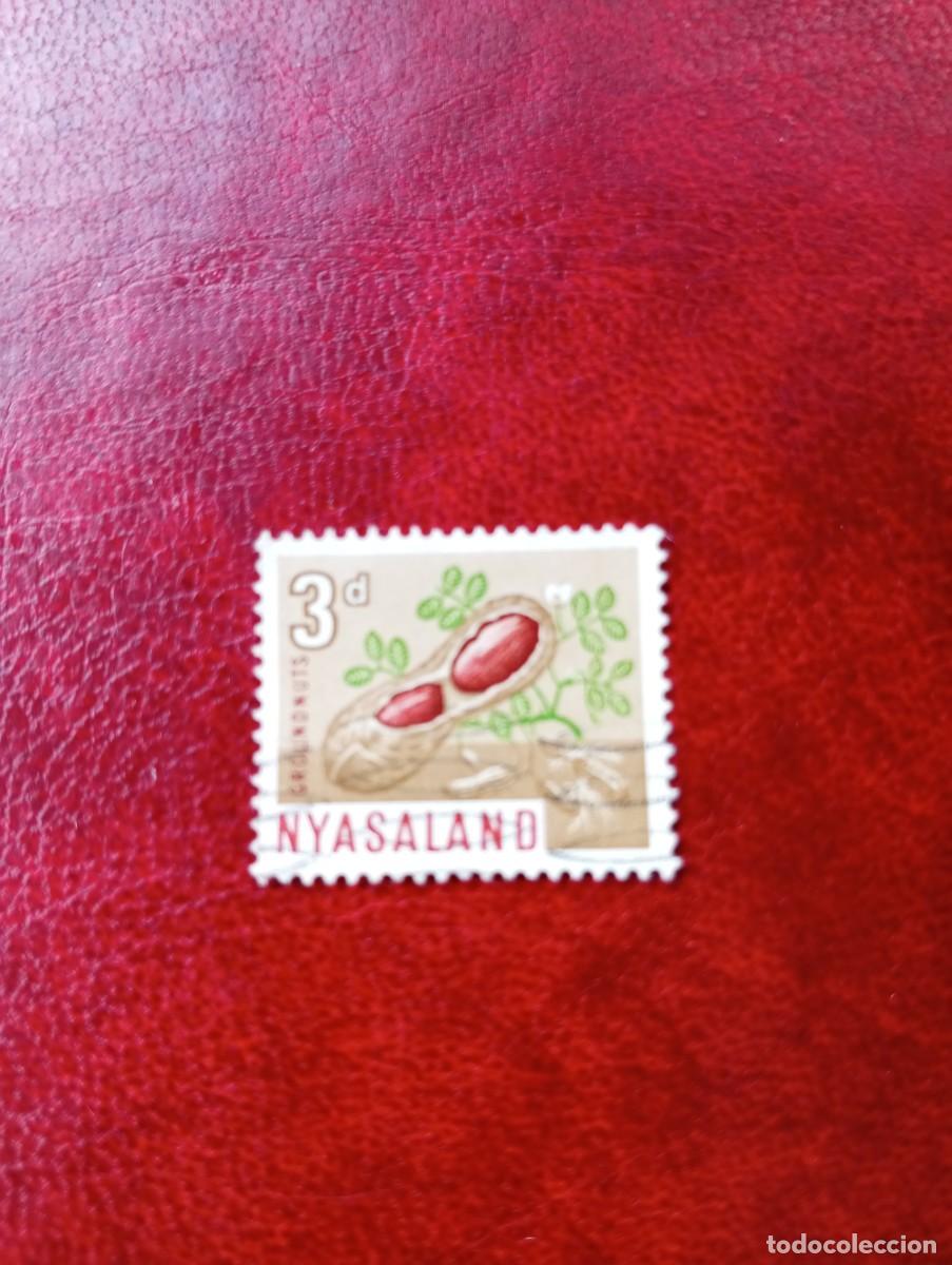 Selos: NYASALAND, 1964, FRUTOS