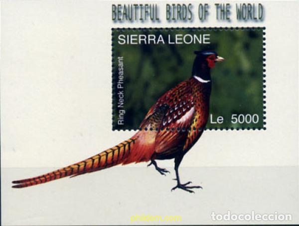 Briefmarken: 167928 MNH SIERRA LEONA 2004 AVES