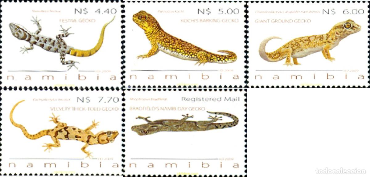 Sellos: 255712 MNH NAMIBIA 2009 - Foto 1