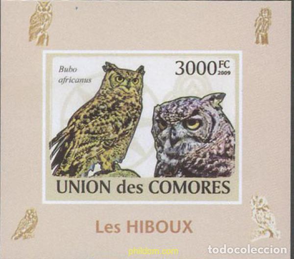 Sellos: 643473 MNH COMORES 2009 RAPACES NOCTURNAS - Foto 1