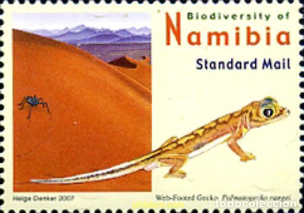 Sellos: 278230 MNH NAMIBIA 2011 - Foto 1
